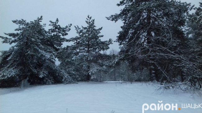 Неймовірні фото засніженого Шацького поозер'я