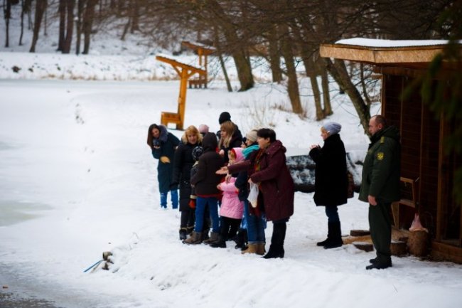 У «волинській Швейцарії» знову зимують дикі качки. ФОТО