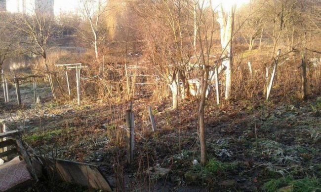 У Луцьку муніципали чистять берег Сапалаївки від старих парканів. ФОТО