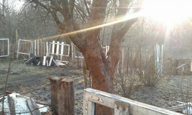 У Луцьку муніципали чистять берег Сапалаївки від старих парканів. ФОТО