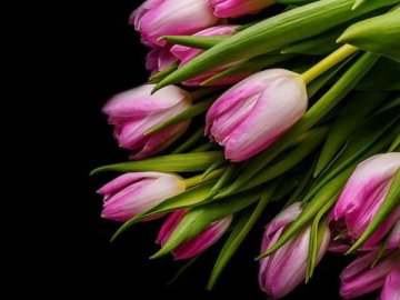 Погода на завтра, 11 березня, у Луцьку та Волинській області