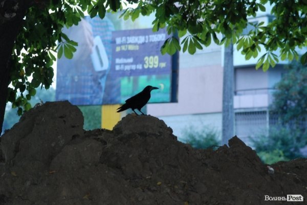 Місто, яке я люблю. Луцьк прокидається. Частина 4