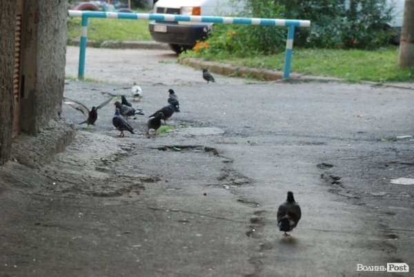 Місто, яке я люблю. Луцьк прокидається. Частина 4