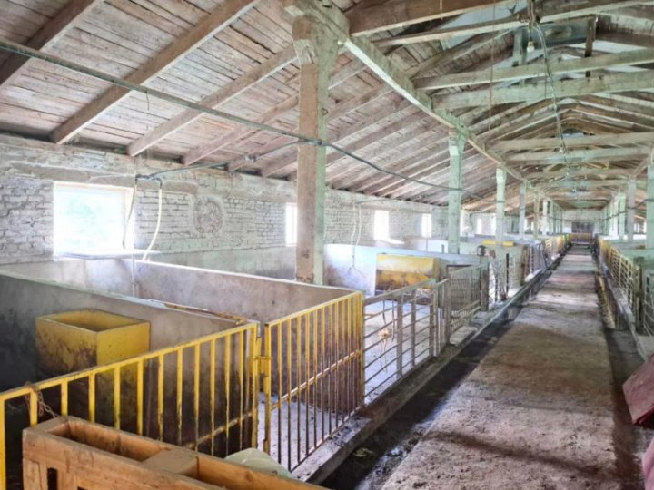 За понад 11 мільйонів на Волині продають готову свиноферму з будинком і залізничною гілкою