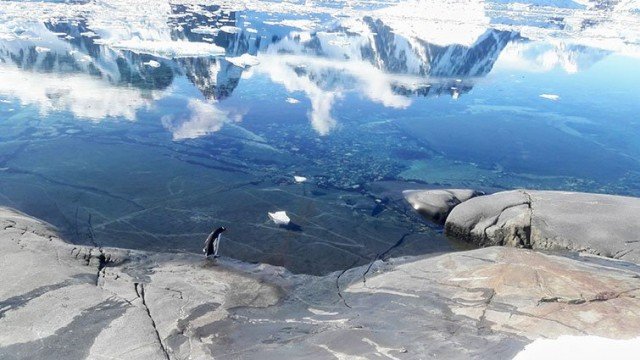 Як лучанин 14 місяців мандрував Південною Америкою і дістався до Антарктиди 