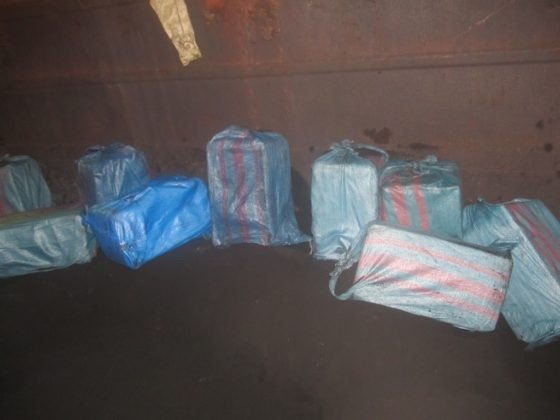 На Волині службовий собака допоміг виявити у вагоні потяга контрабанду