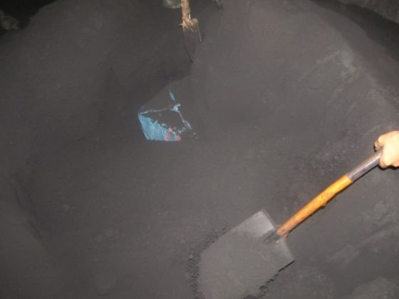 На Волині службовий собака допоміг виявити у вагоні потяга контрабанду