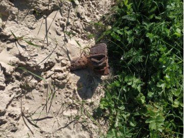 На Волині грибники знайшли у лісі боєприпаси