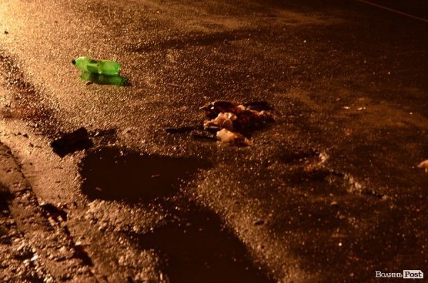 У Луцьку – смерть в аварії на дорозі. ФОТО