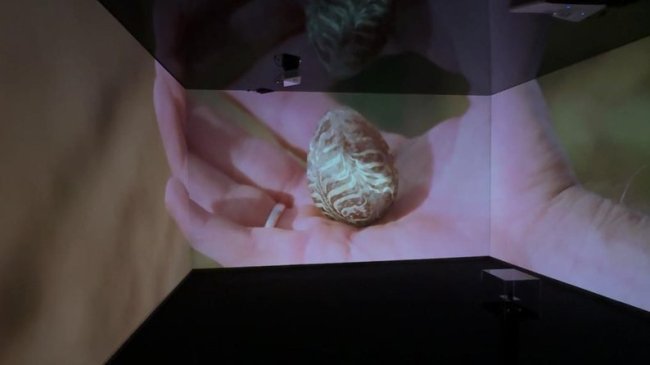 У волинському музеї презентували виставку з 3D-мапінгом та експонатом XII століття. ВІДЕО