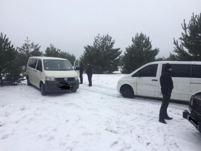 На Волині затримали «ялинкорубів». ФОТО