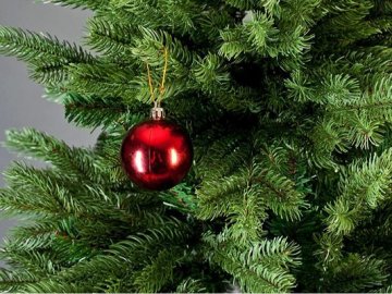 Жива чи штучна — яку ялинку вибрати: відповідають експерти