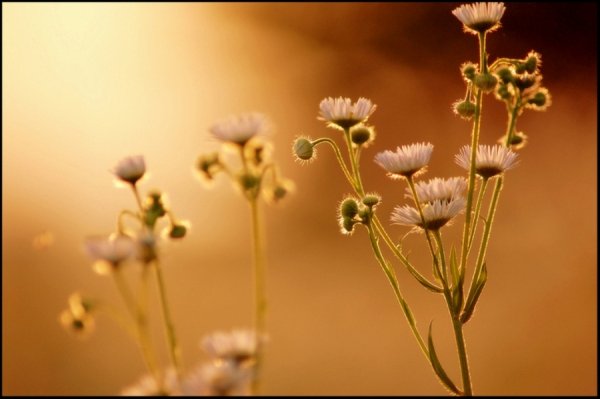 Фотовиставка Павла Березюка
