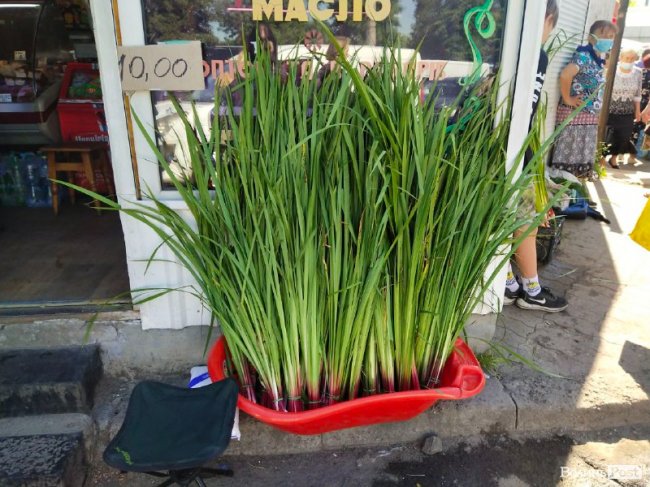 У скільки лучанам обійдеться лепеха напередодні Трійці: ціни на ринку