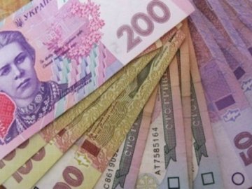 Волинянці, яка обманула соцслужбу, можуть дати 3 роки тюрми