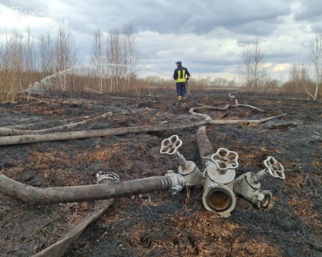 На Волині горів торфяник. ФОТО