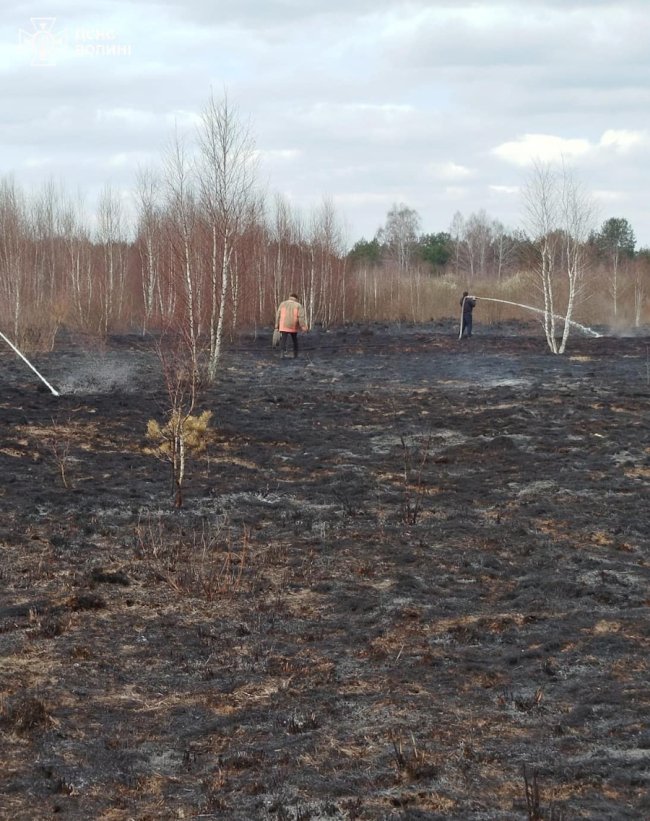 На Волині горів торфяник. ФОТО