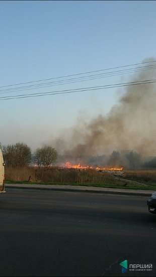 Чергова пожежа в Луцьку: спалахнула трава біля Стиру