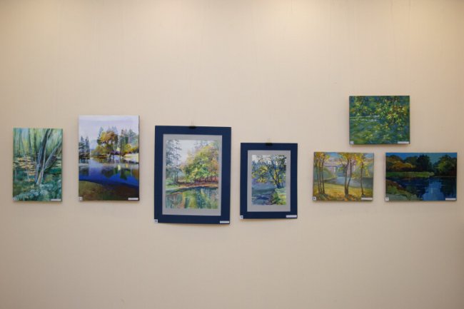 Тихий аукціон: у Луцьку в арт-галереї зібрали понад 24,6 тисяч гривень на ЗСУ. ФОТО