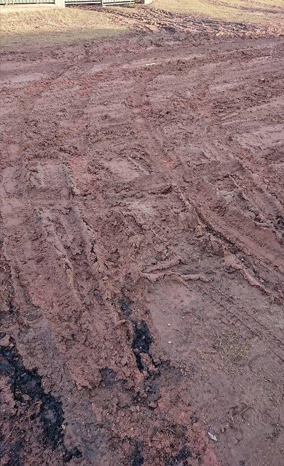 «Як нам жити?» – волиняни в розпачі через жахливий стан дороги. ФОТО