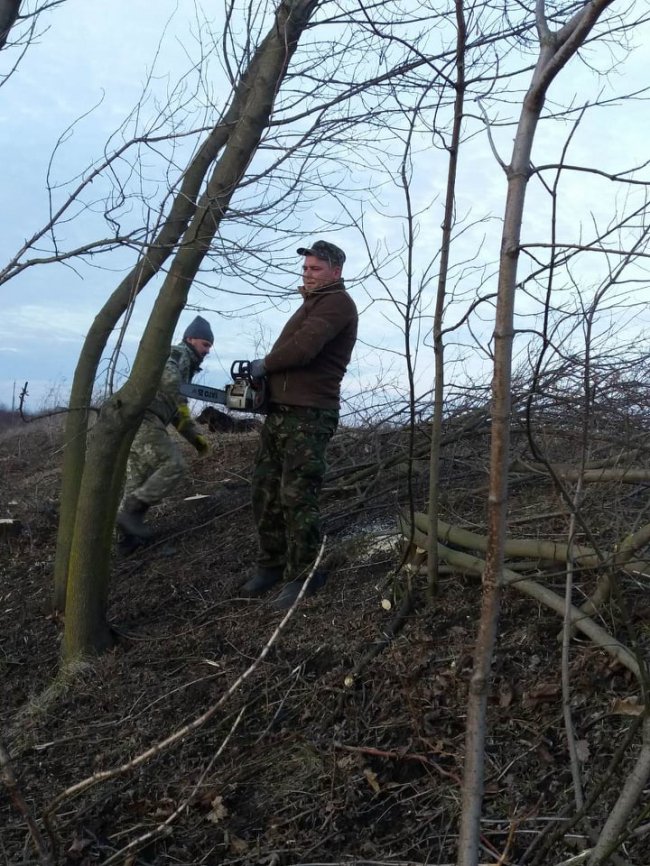 У селі Луцького району влаштували толоку, щоби посадити ліс