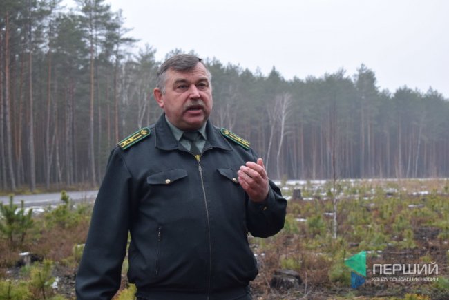 Головний лісничий Сергій Бабік 