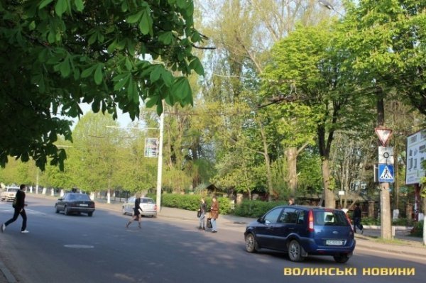 У Луцьку активісти вчили пішоходів переходити дорогу. ФОТО