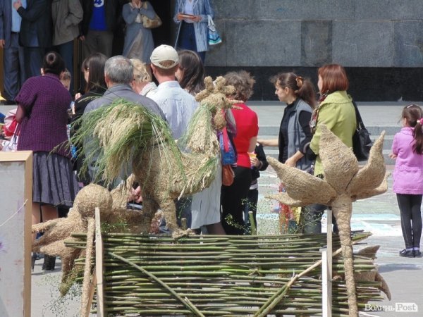 День Європи у  Луцьку. ФОТО