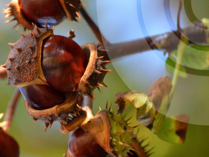 Якою буде погода у Луцьку та на Волині у понеділок, 29 вересня