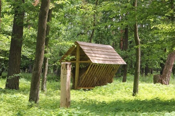 На відпочинок – до «Звірівського». ФОТО