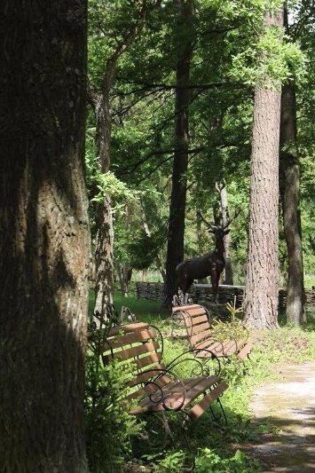На відпочинок – до «Звірівського». ФОТО