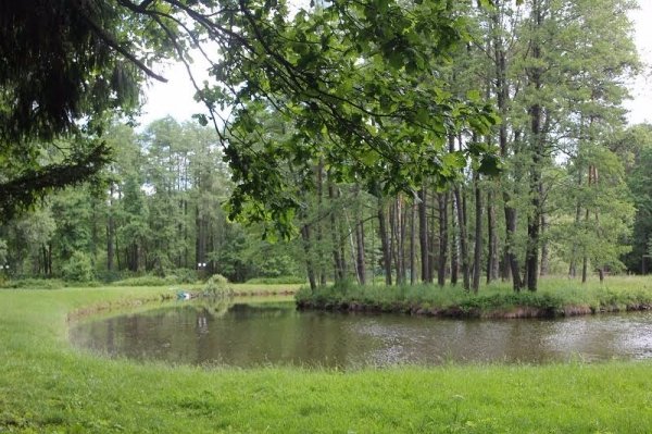На відпочинок – до «Звірівського». ФОТО