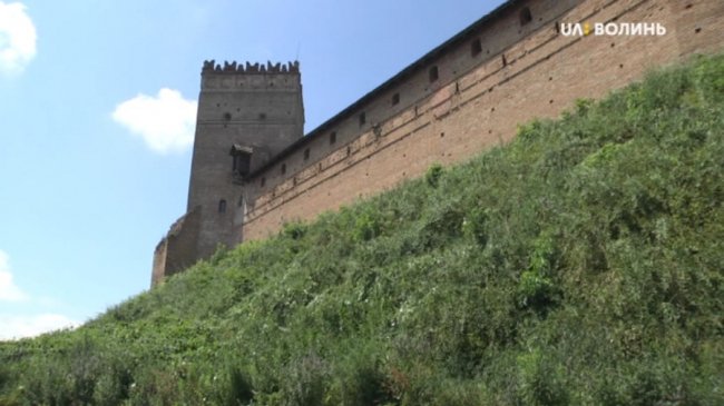 У Луцьку замок Любарта обростає хащами