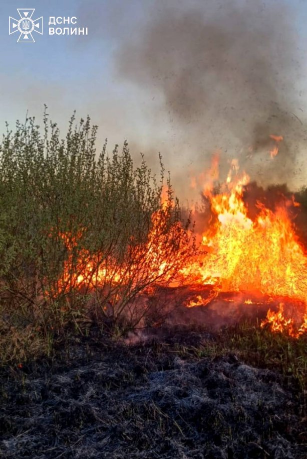 На Волині посеред дороги загорівся бензовоз. ФОТО