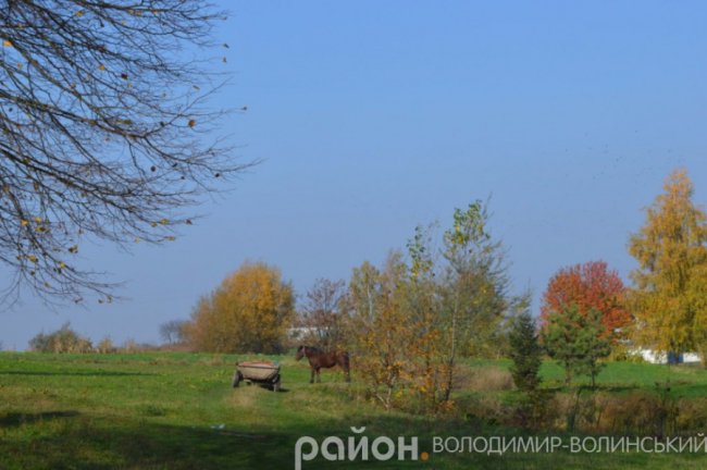 Золота осінь у волинському селі. ФОТО