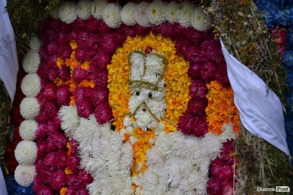 У Луцьку  - квіткова виставка до Дня Незалежності. ФОТО