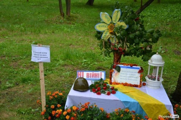 У Луцьку  - квіткова виставка до Дня Незалежності. ФОТО