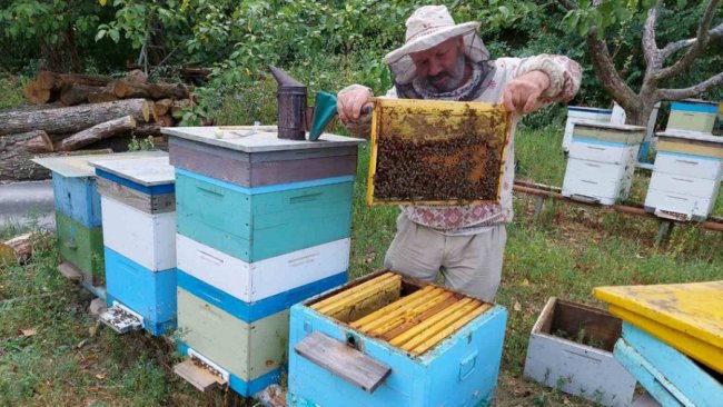 Залишив пасіку з 70 вуликами: бджоляр із Харківщини евакуювався на Волинь. ФОТО. ВІДЕО