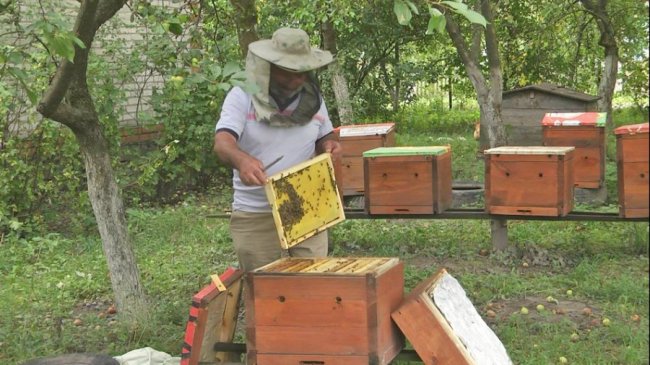 Залишив пасіку з 70 вуликами: бджоляр із Харківщини евакуювався на Волинь. ФОТО. ВІДЕО