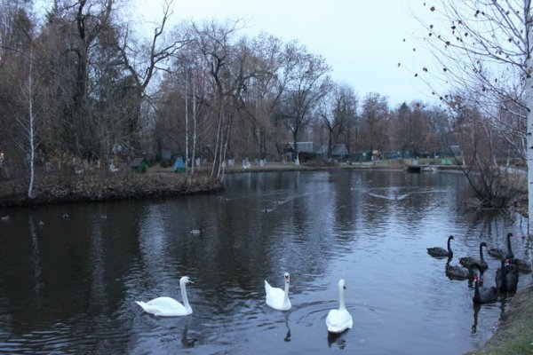 У Луцьку оновлять зоопарк за 1,5 мільйона євро. ФОТО
