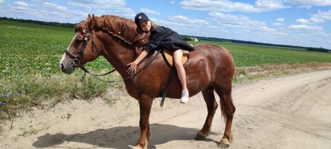 Коні і сільський колорит: як допомагають долати стрес дітям переселенців на Волині