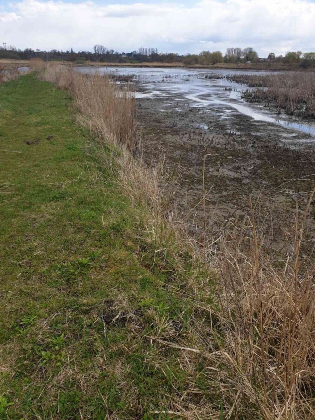 У заказнику на Волині браконьєри викинули мішок з уловом, побачивши рибпатруль. ФОТО