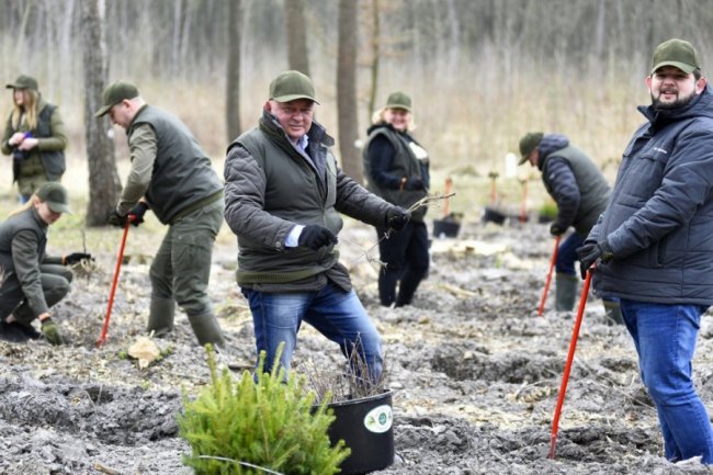 Мільйони сіянців і тисячі гектарів території: весна-2019 у волинських лісах. ФОТО