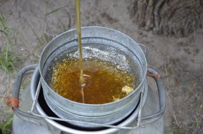 На пасіці Шацького нацпарку викачали перший мед. ФОТО