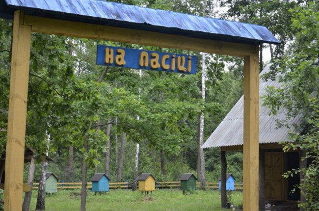 На пасіці Шацького нацпарку викачали перший мед. ФОТО