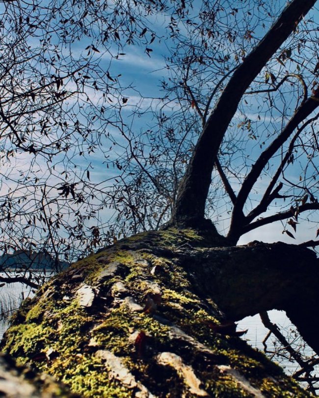 Осіння магія Шацьких озер. ФОТО