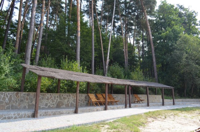 Кращий волинський санаторій: як у сосновому лісі «цвіте» «Пролісок». ФОТО