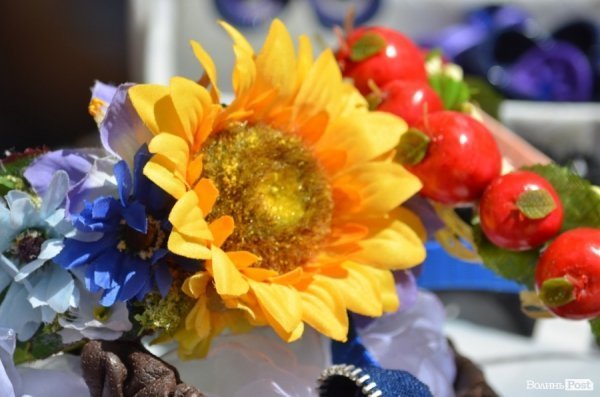 У Луцьку відзначили День молоді та День Конституції. ФОТО