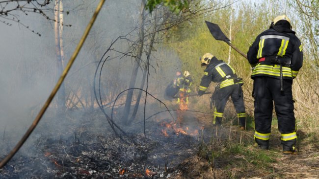У Луцьку – пожежа сухостою на Гнідавському болоті