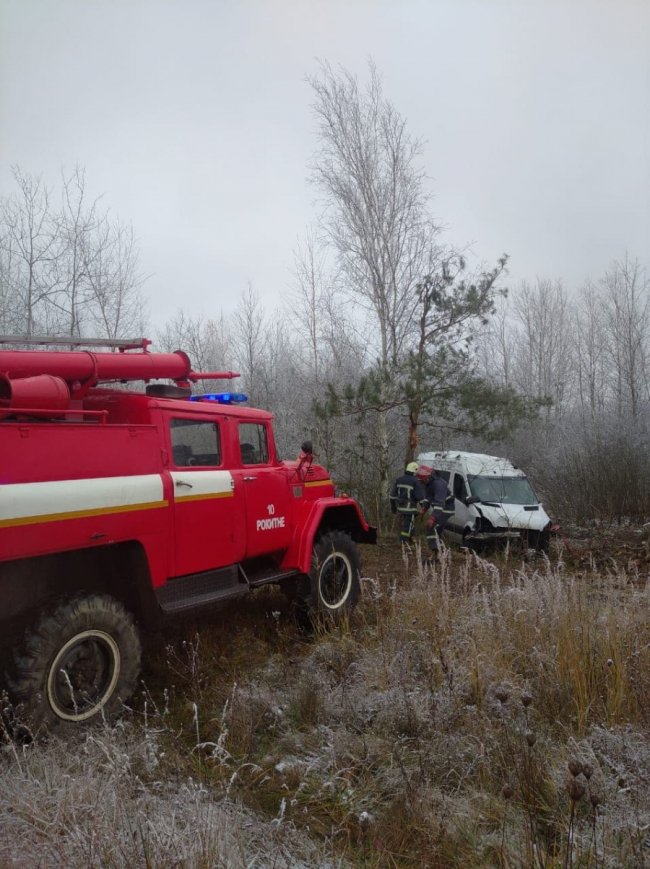 На дорозі Київ-Ковель бус з пасажирами злетів у кювет та перевернувся. ФОТО